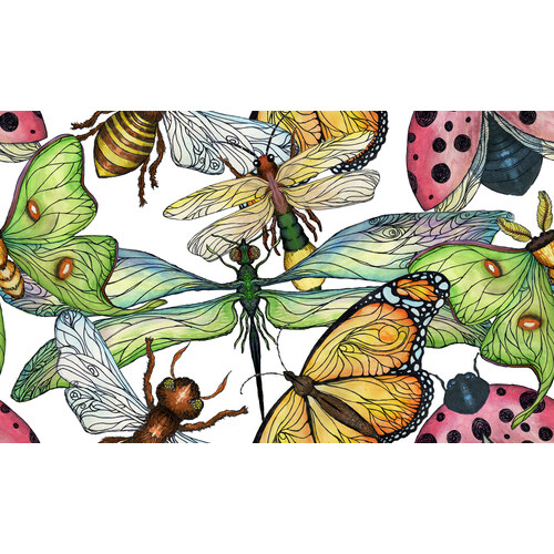 Wings surface pattern: luna moths, dragonflies, and butterflies