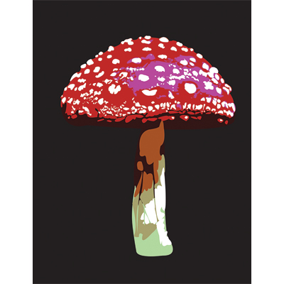 Mushroom illustration